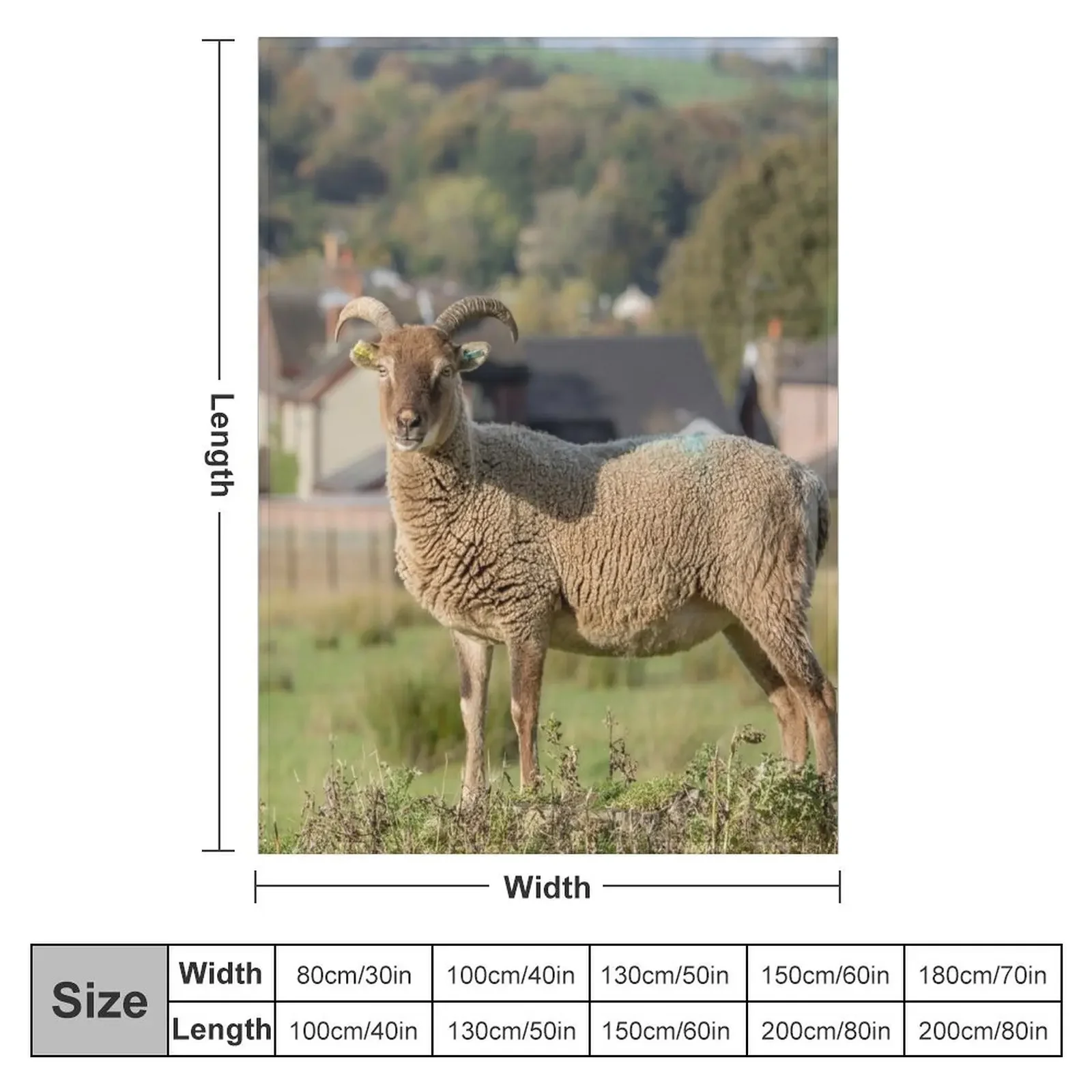 �� �� ���� ������ ���, ���Ÿ� ����Ʈ ��Ƽ�� �ö��� ķ�� ���