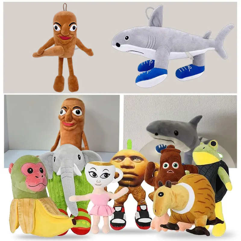 dsc-products