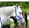 Horse Halter Reins A Bridle to Prevent Chafing Wear Resistant Webbing Halter Equestrian Equipment Horse Equipment 4