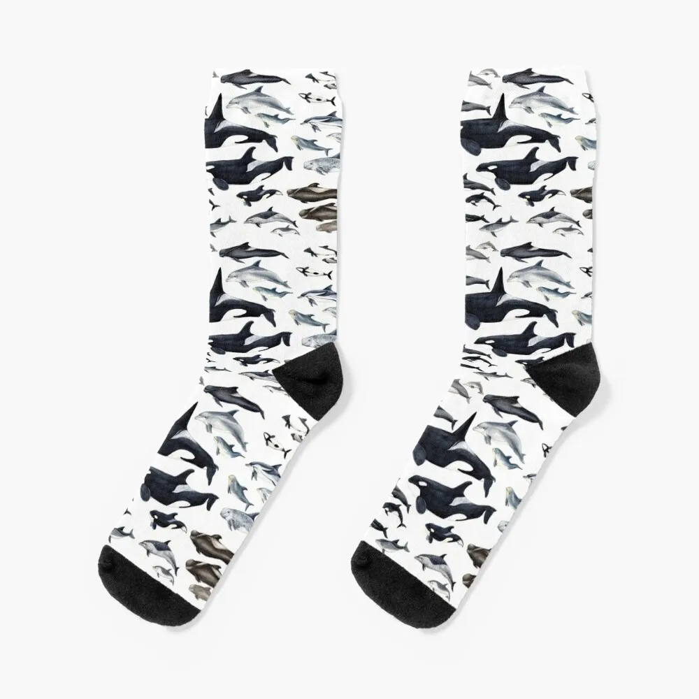 sushi cats socks funny sock crazy men cotton high quality tennis socks women s men s Dolphin diversity Socks Heating sock Novelties tennis Socks For Men Women's