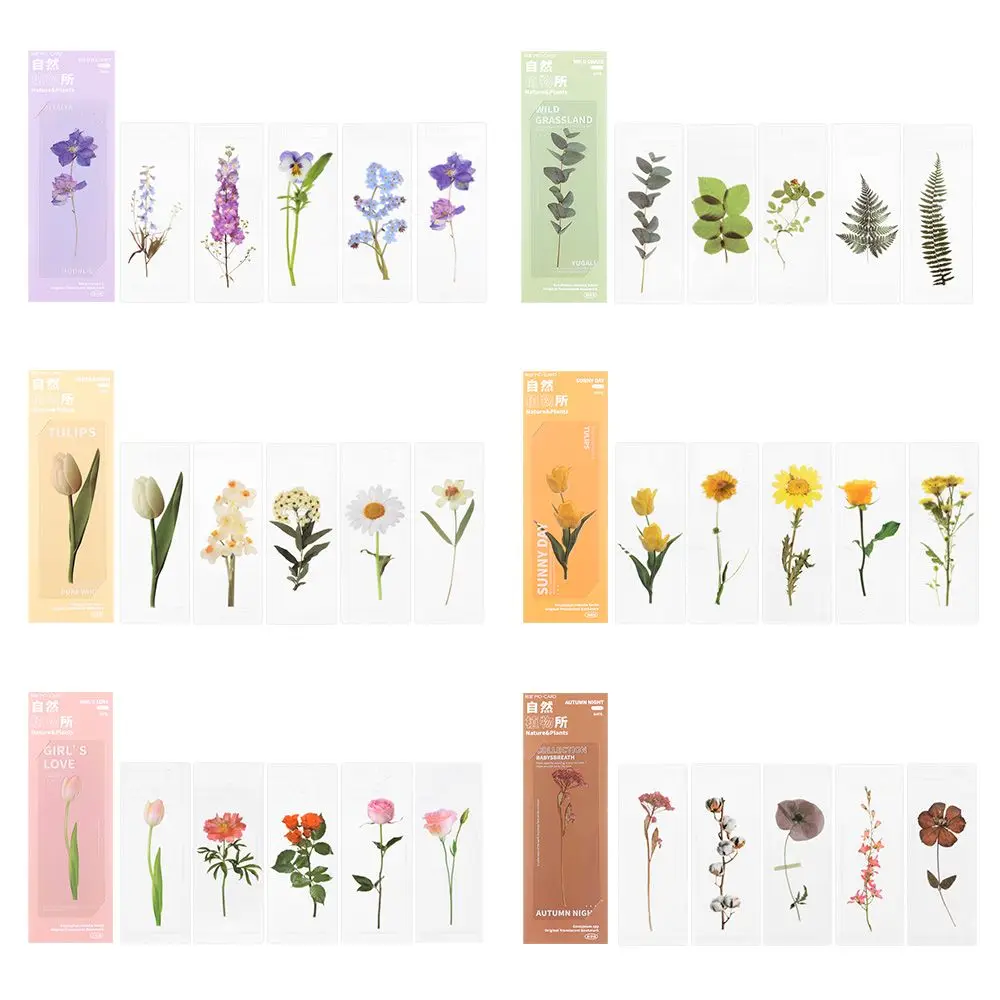 Book Note Marker PET Page Holder Reading Mark Bookmarks Card Translucent Flower Nature Plants Bookmarks Specimen