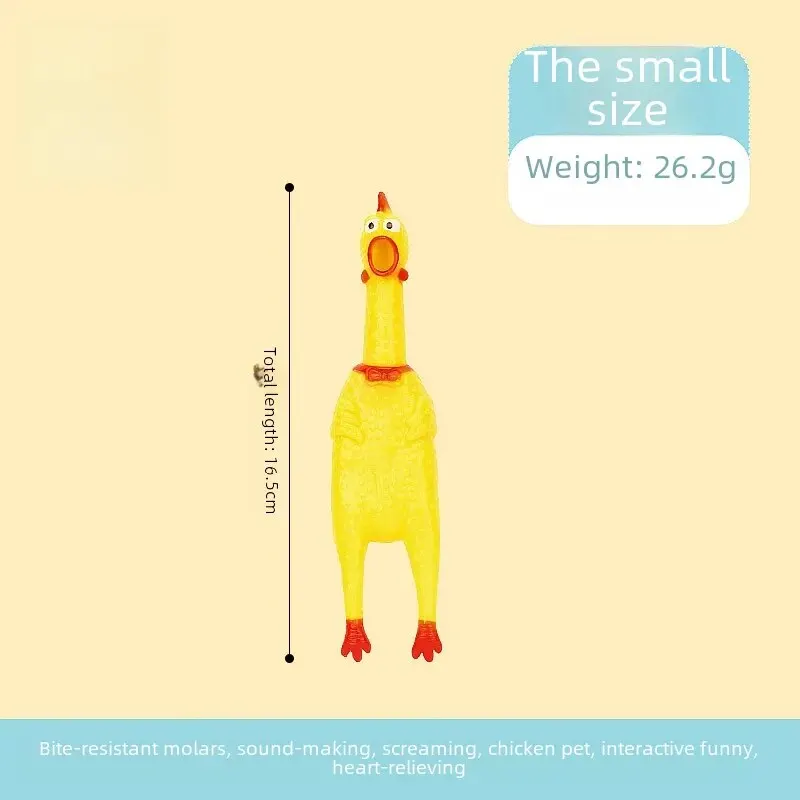 Small size miserable chicken