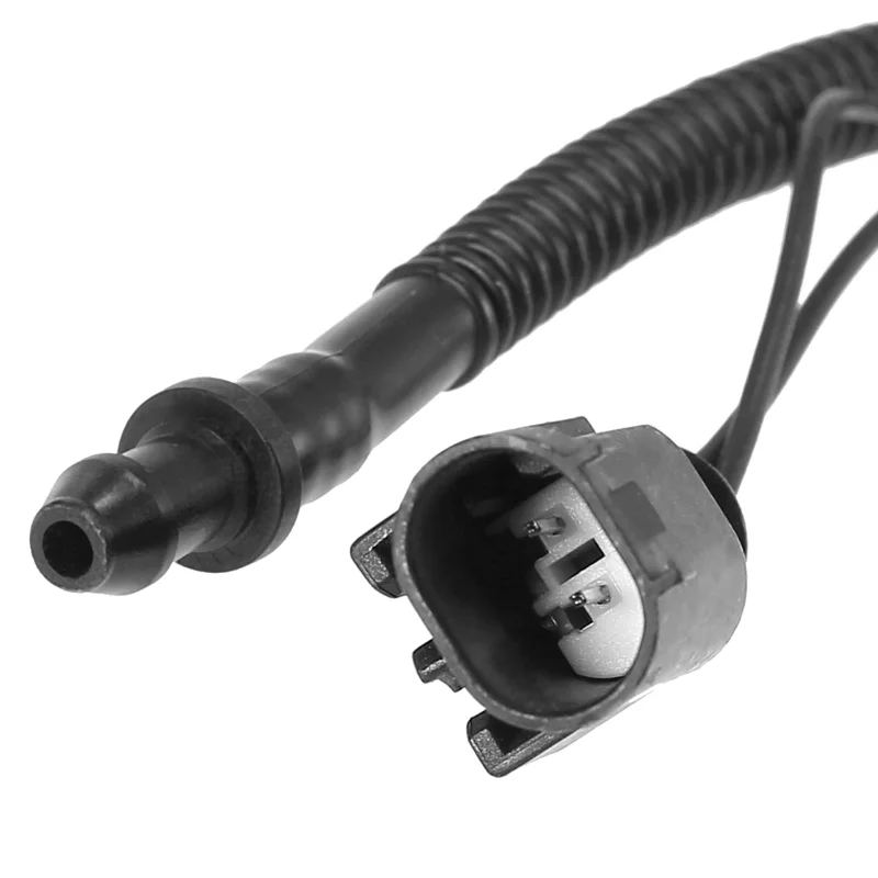 疫 LY6E impairs coronavirus fusion and confers immune control of