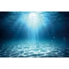 Underwater World Seabed Backdrop Ocean Undersea Sunlight Fish Coral Baby Birthday Aquarium Photography Background Photo Studio 4