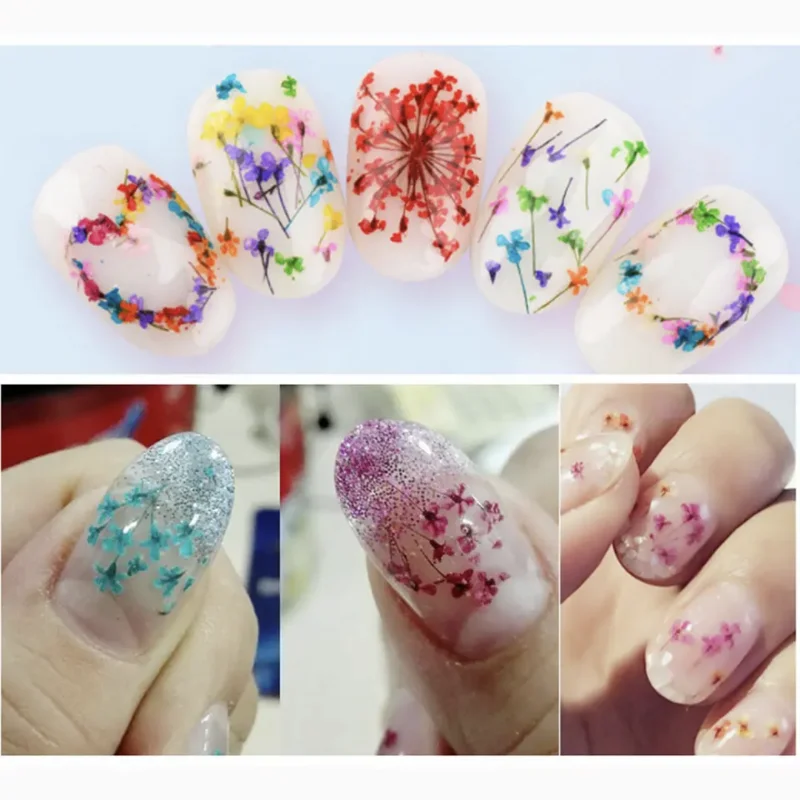 (12Grid)3D Dried Flower For Nail Charms Natural Floral Sticker Mix Dry Flower Colorful Decal DIY UV Gel Polish Nail Art Manicure
