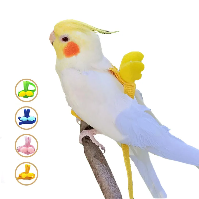 

2M Adjustable Bird Parrot Harness Leash Kit Outdoor Flying Training Rope With Wing Small Medium Bird Cockatiel Budgie Oiseaux