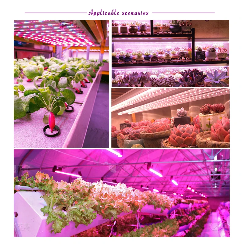 LED Grow Light Full Spectrum 30cm 5V USB Plant Growing Light Bar Phytolamp for Indoor Plants Flower Seedling Greenhouses Tent