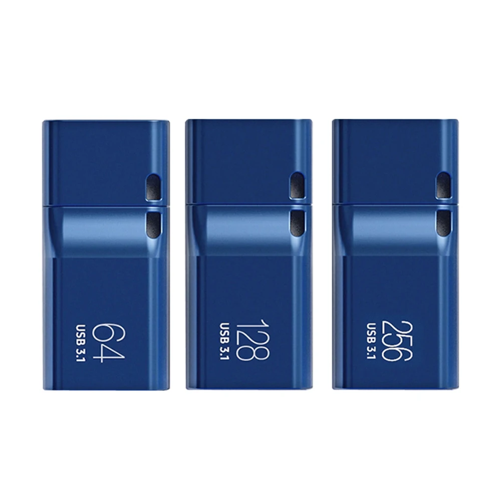 CLÉ USB Samsung MUF-256DA 256 Go USB TYPE-C 3.2 GEN 1 (3.1 Gen 1)