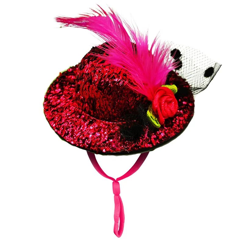 WATERBELINE Mini-Hütchen Für Vögel - Niedliche Kostüme Für Nymphensittiche & Hamster