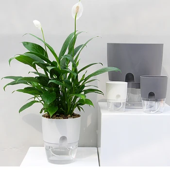 Automatic Watering Flowerpot 4