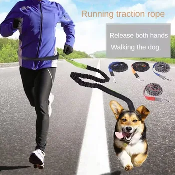 Hands-Free Leash 1