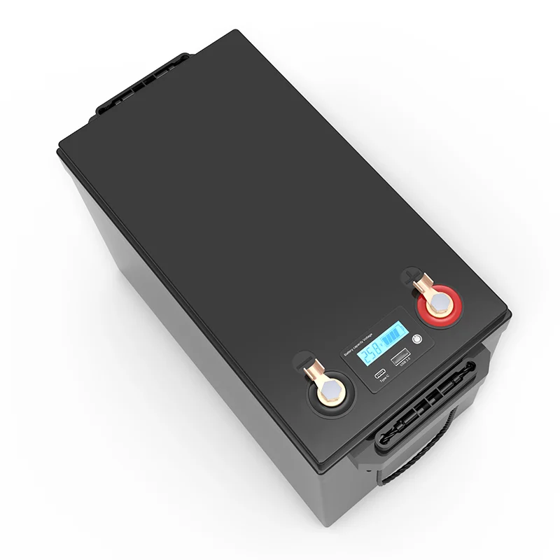 Batteria Ricaricabile al Litio LiFePO4 24V 100Ah 8s per Veicoli Elettrici, Camper, Golf Cart, Auto da Viaggio, Batterie per Accendisigari, Caricabatterie 29.2V - immagine 2