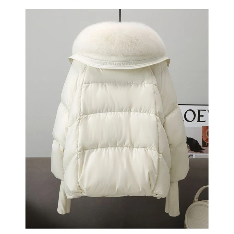 Winter New Fur Collar Puffer Down Parka Loose Down Warmer Thicken Snow Jacket Pocket Zipper Faux Fur Outerwear Female 4
