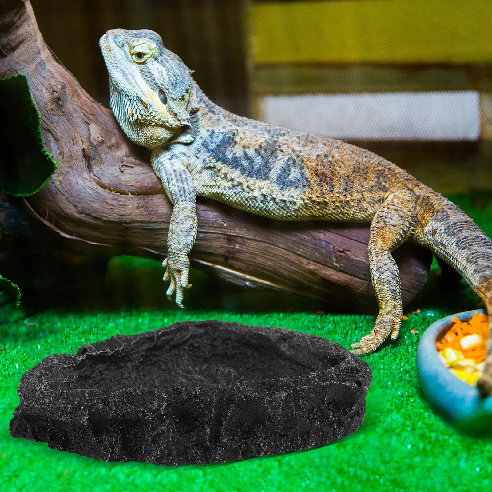 Reptile Food Water Bowl Resin Feeder Feeding Dish Scratch Resistant ...