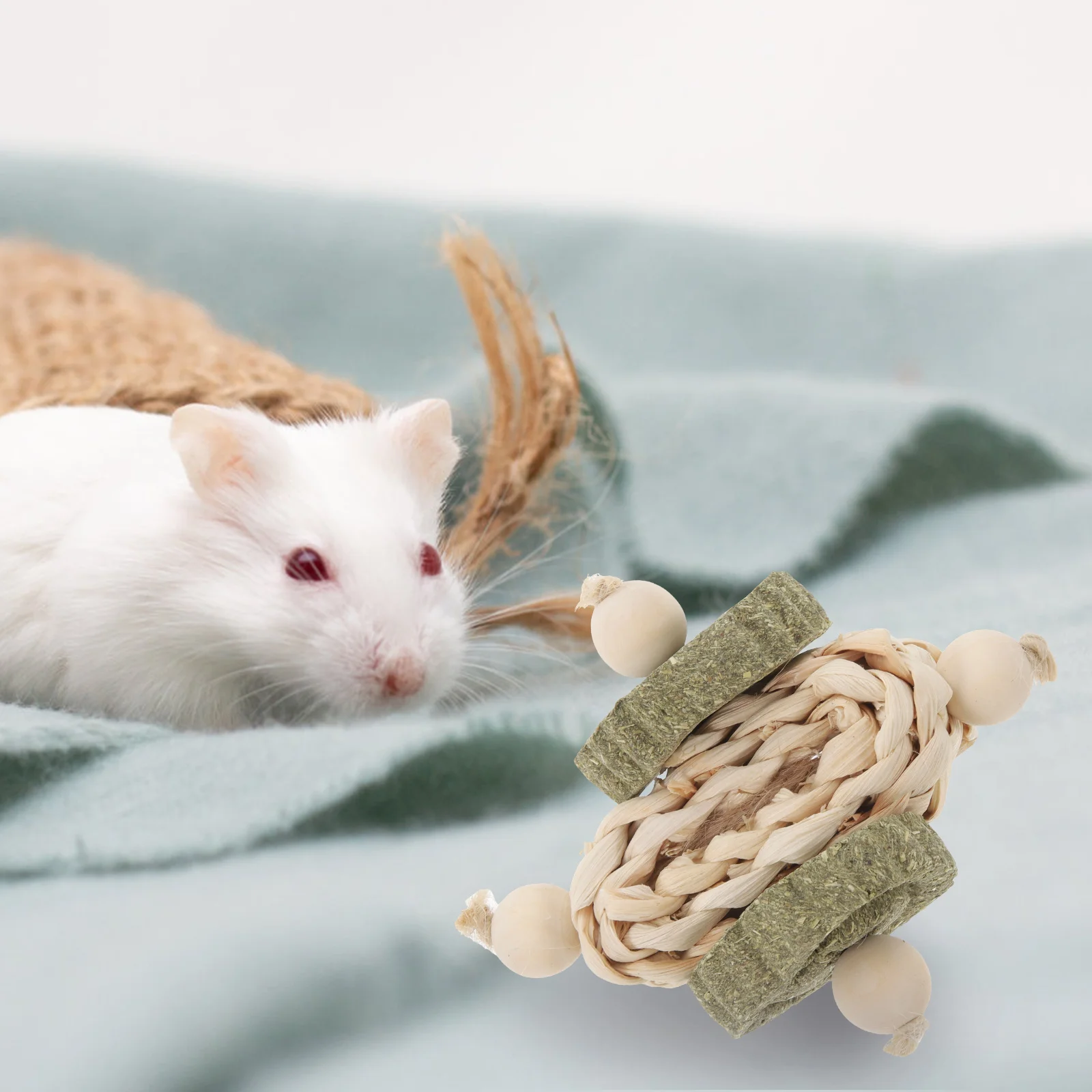Rabbit Guinea Pig Toys Teeth Chewable Tablets Hamster Snacks Natural Treats Teething Animal Wooden Oral Biting Playthings Bunny