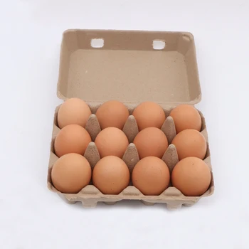 Confezione da 6 confezioni di cartone per uova Contenitore per polpa di carta Scatole per uova Scatole per uova Supporti sfusi Vassoi per uova di gallina Frigo Ganizers Soluzioni per imballaggio