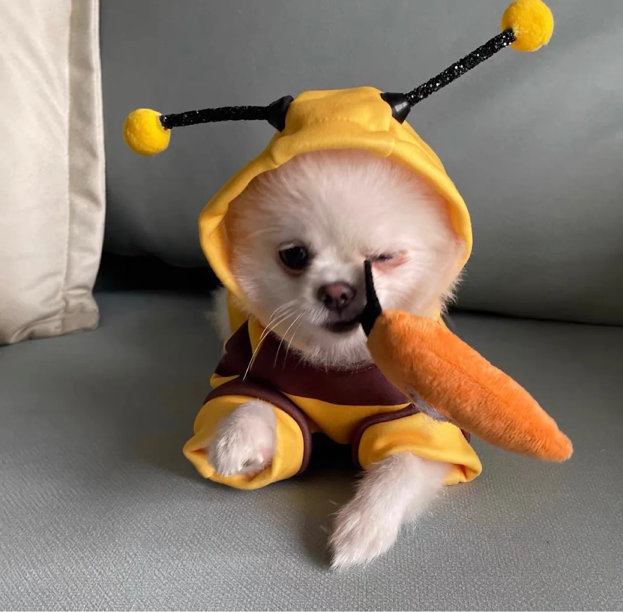 Bee Costume Pet Hoodie 6