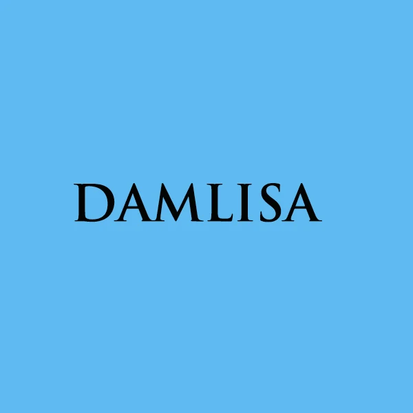 DAMLISA Moissanite Jewelry Store