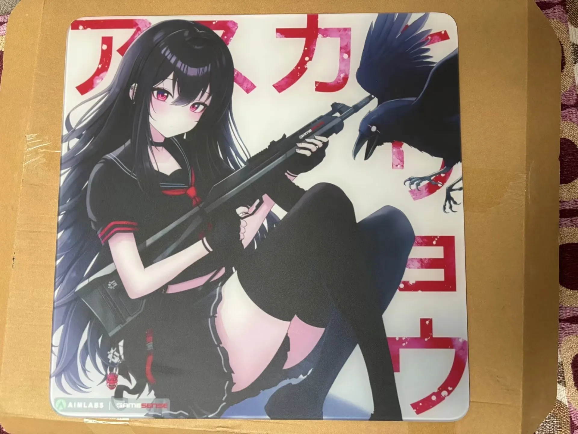 Gamesense×Aimlabs Radar Asuka Ryo