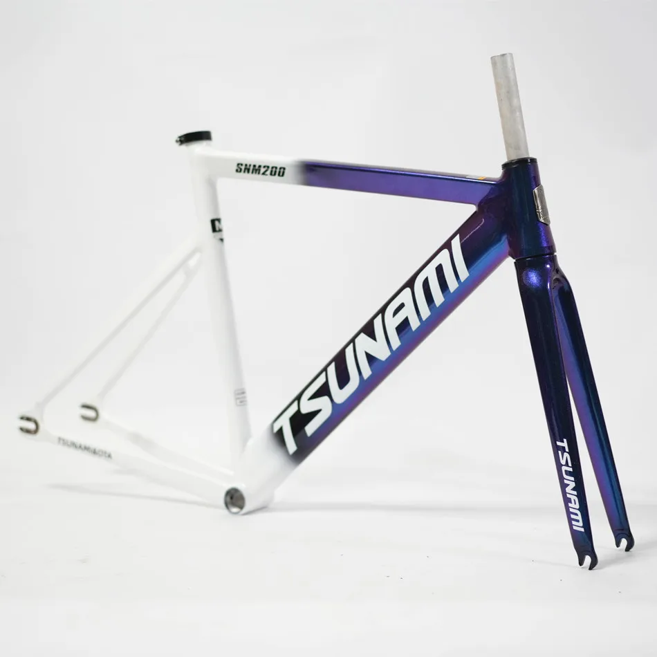 TSUNAMI SNM200 フレーム S1f84afae52204bd3bcd268c86de61