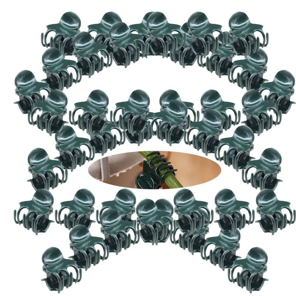 20-50PCS 6-Claw Plant Clips Orchid Flowers Support Clamp Climbing Vine Stem Clasp Tied Bundle Branch Garden Tool