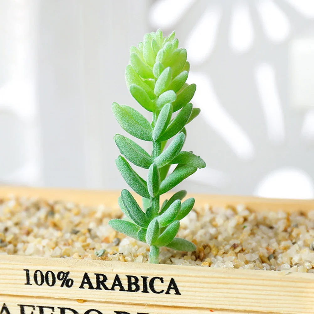 DIY künstliche saftige beflockte Pflanze gefälschte Kaktus Hausgärten Schlafzimmer Büro außerhalb Dekor gefälschte Pflanze Desktop kleine Bonsai neu – Detail 15