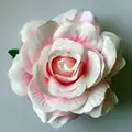 White pink