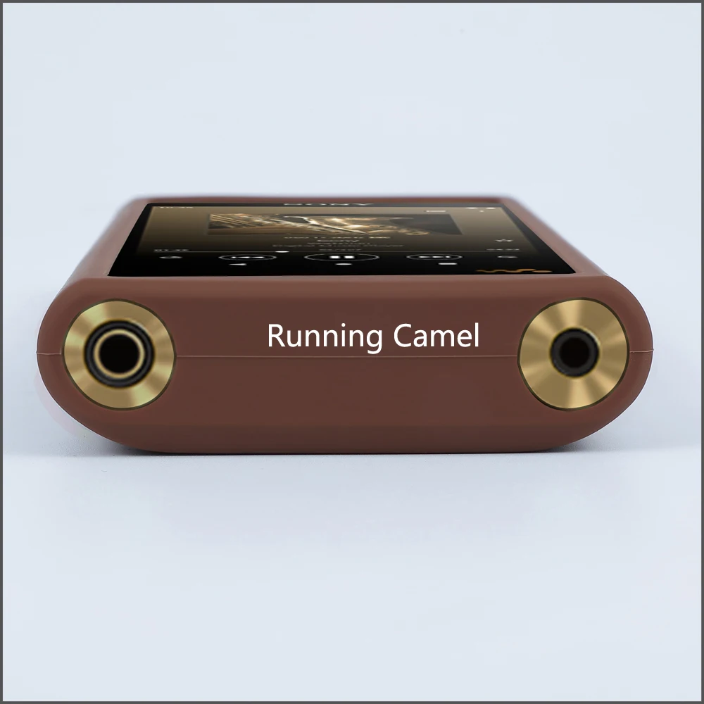 walkman NW-WM1AM2 wm1am2 NW-WM1ZM2 wm1zm2 casca da pele