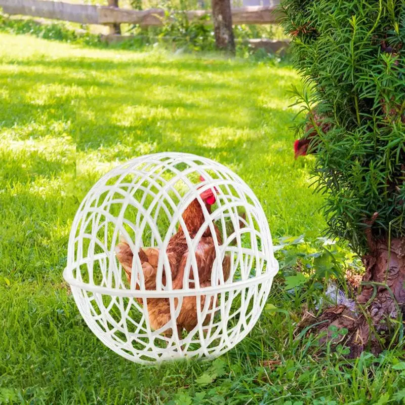 Chicken Rolling Ball Cage 3 Pieces Pet Safety Cage Spherical Chicken Orb Ball Ball-Shaped Hamster Safe
