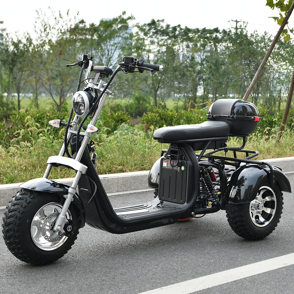 Electric Scooter Adult 3 Wheel 2000W Motor Max Speed 35-45KM/H Max Load 250KG 18 Inch Off road Fat Tire