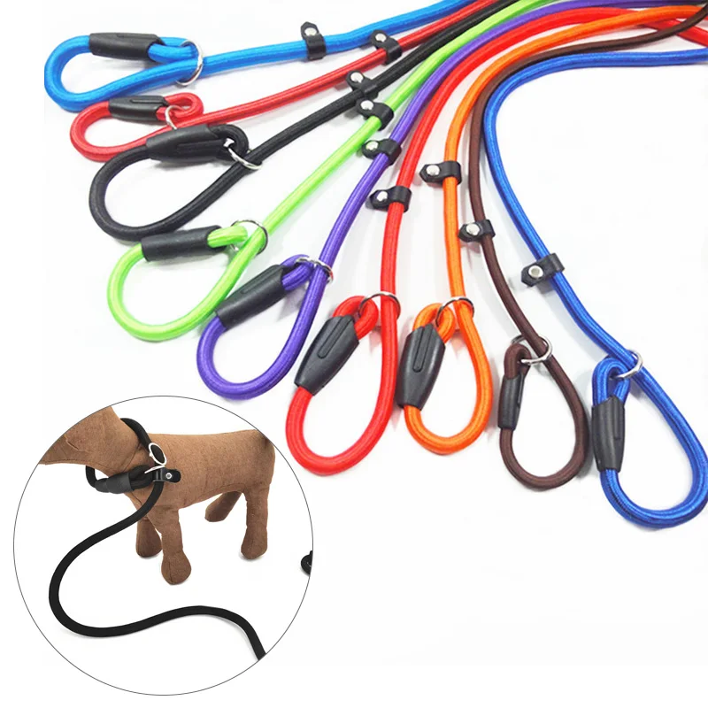 

1PC Nylon Dog Leash Pet Puppy Slip Lead Rope Adjustable Collar Traction Ropes Chain Leads Pets Training Walking Lead Leashes