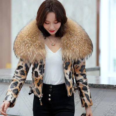 

Hot Sale Winter new product short oversized raccoon fur collar slim fit genuine leather jacket Haining sheep skin leopard print