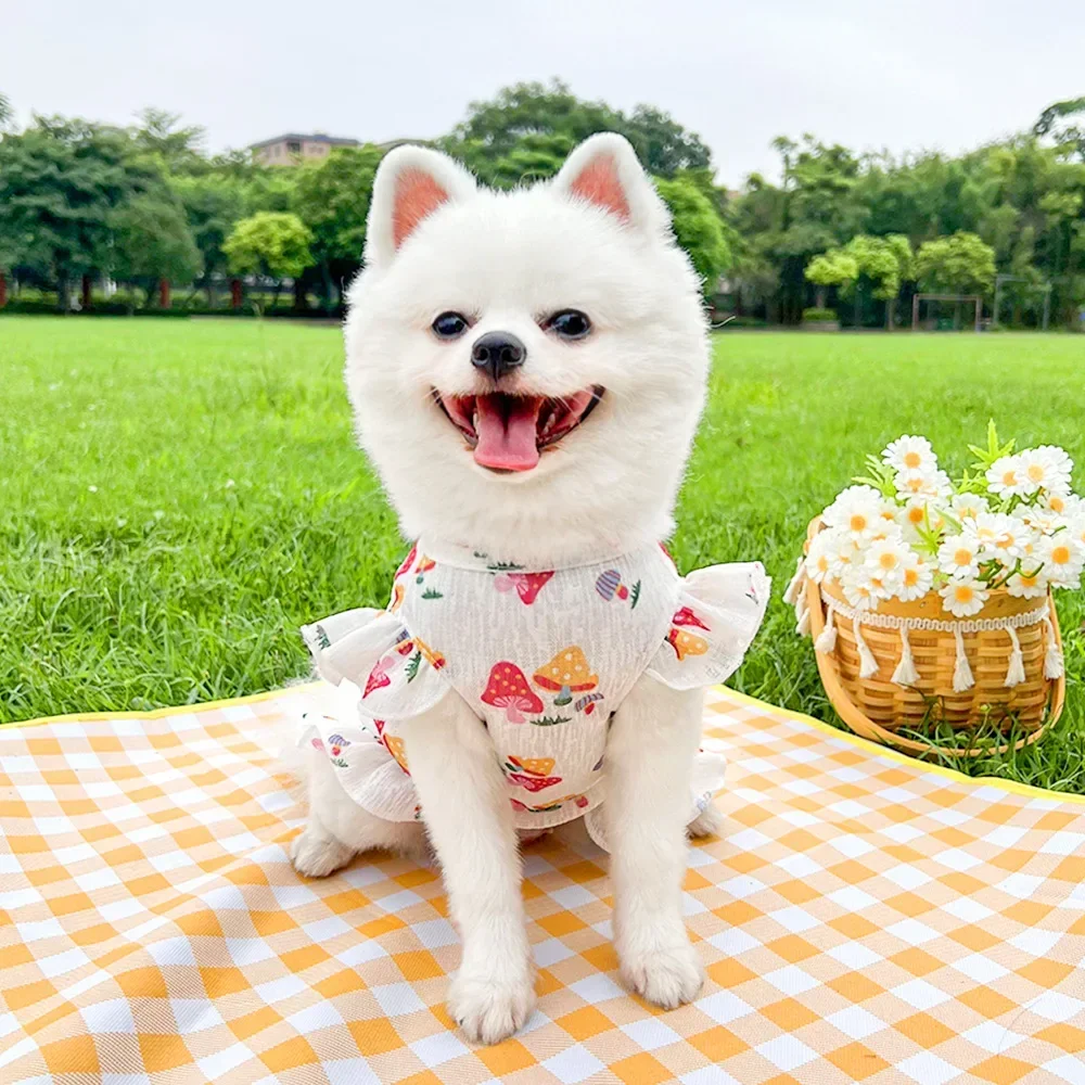 slim fit dress slacks Tie Dye Denim Dog Dress main image 0