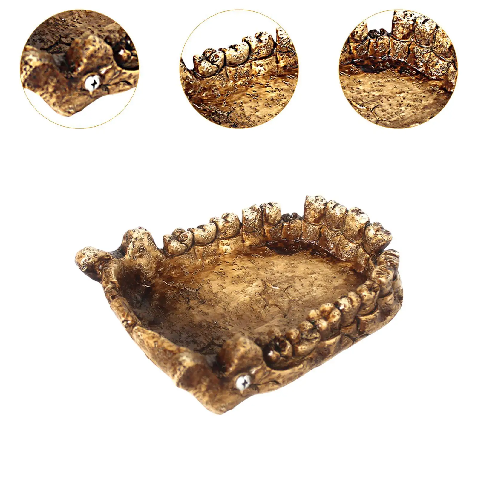 Reptile Feeding Bowl Resin Decorations Bathing Bowl Turtle Bath Terrarium Plate for Frogs Chameleon Pet Supplies Lizards Gecko