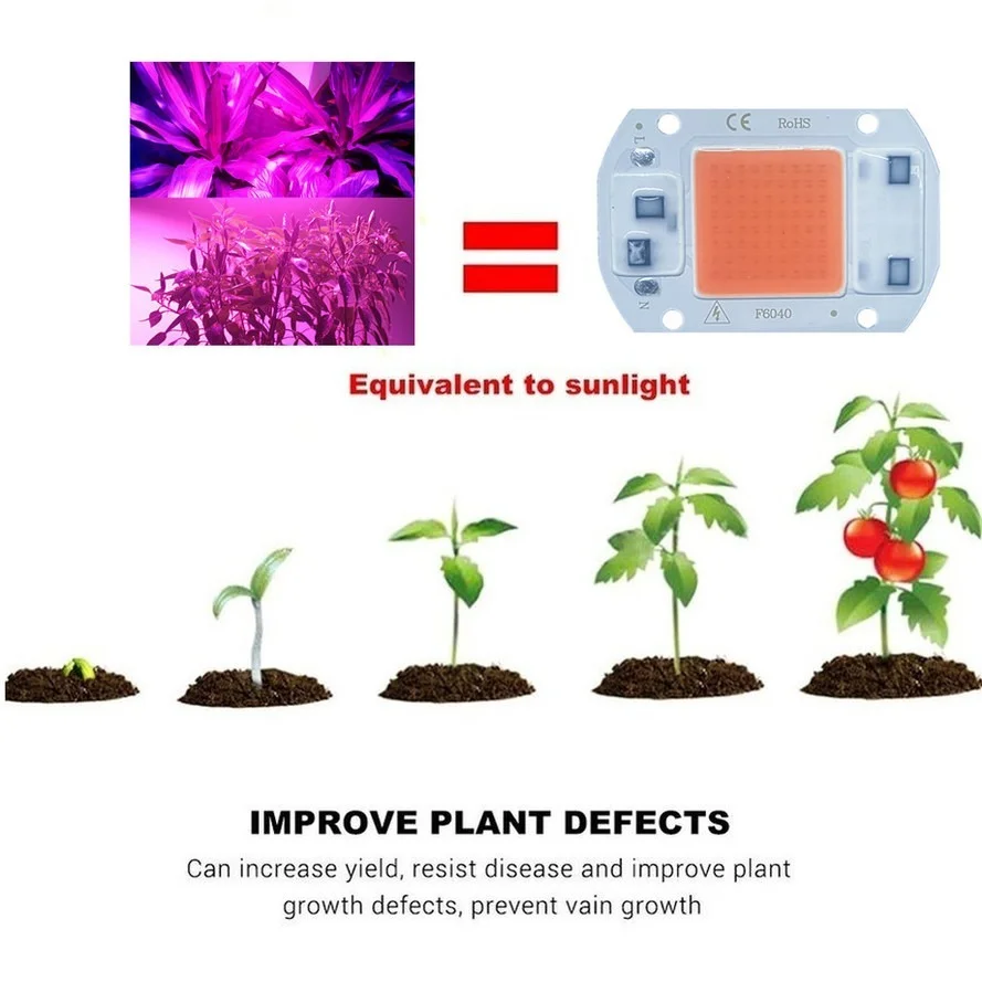 Full Spectrum LED Grow Light COB Chip for Indoor Plant and Flower Growth