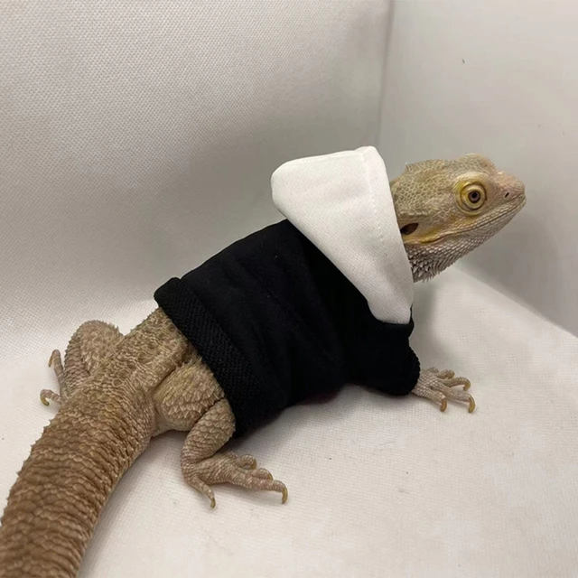 Bearded Dragon Clothes Costume Accessories Apparel Clothing Hand-made Warm Coat Hoodies Jackets for Small Animal Geckos 2