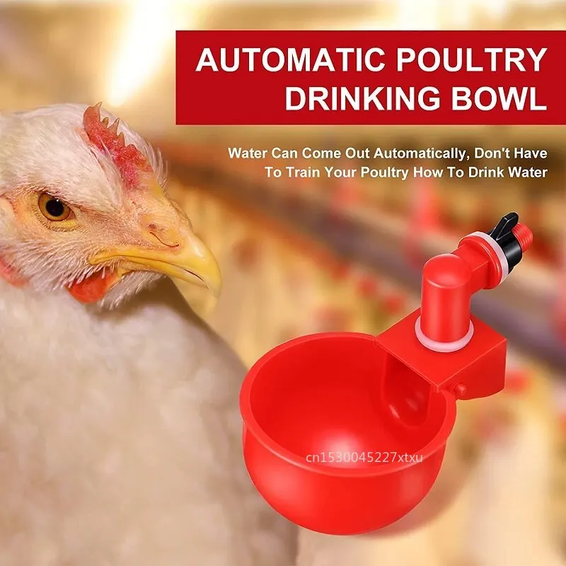 Kip Water Cup Kommen En Drinkers Plastic Binnenlandse Vogel Voeden Gereedschap Eenvoudig Te Installeren Farm Accessoires AliExpress