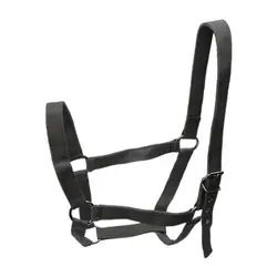 Premium Adjustable Horse Halter and Harness for Cowboy and Pony Riding (Black)