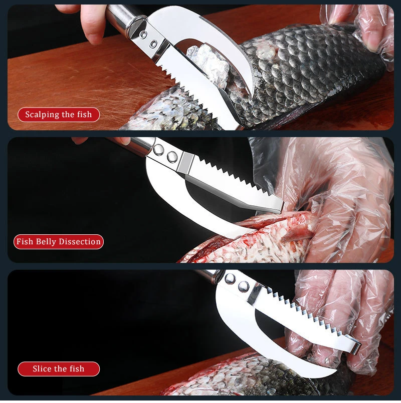 Scale Fish Scraper - Angle 2