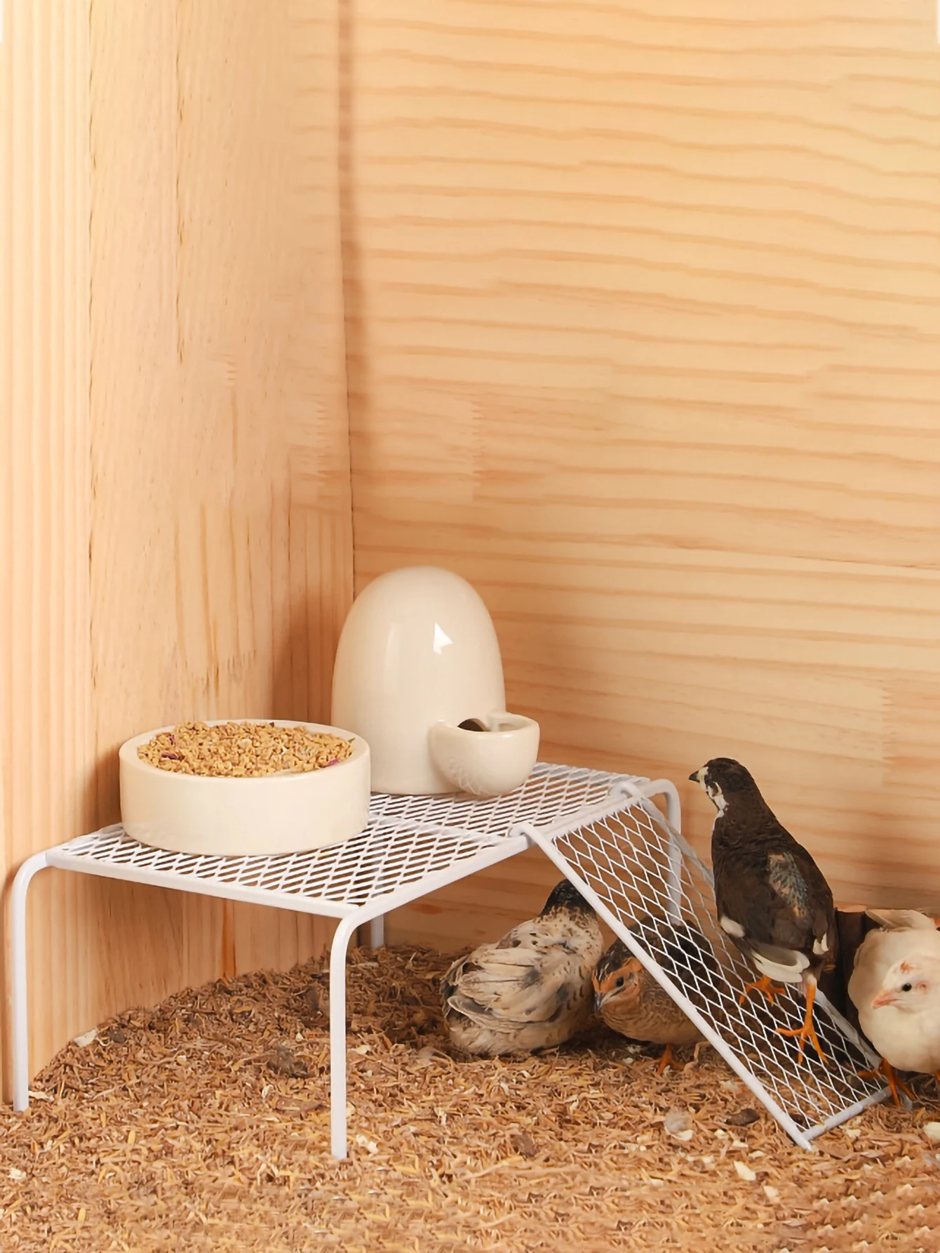 1pc-Rutin Chicken Platform Rutin Chicken Cage Landscape Platform Metal Chicken Rack