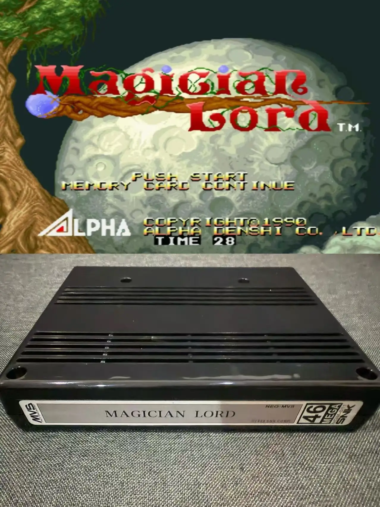 MAGICIAN LORD