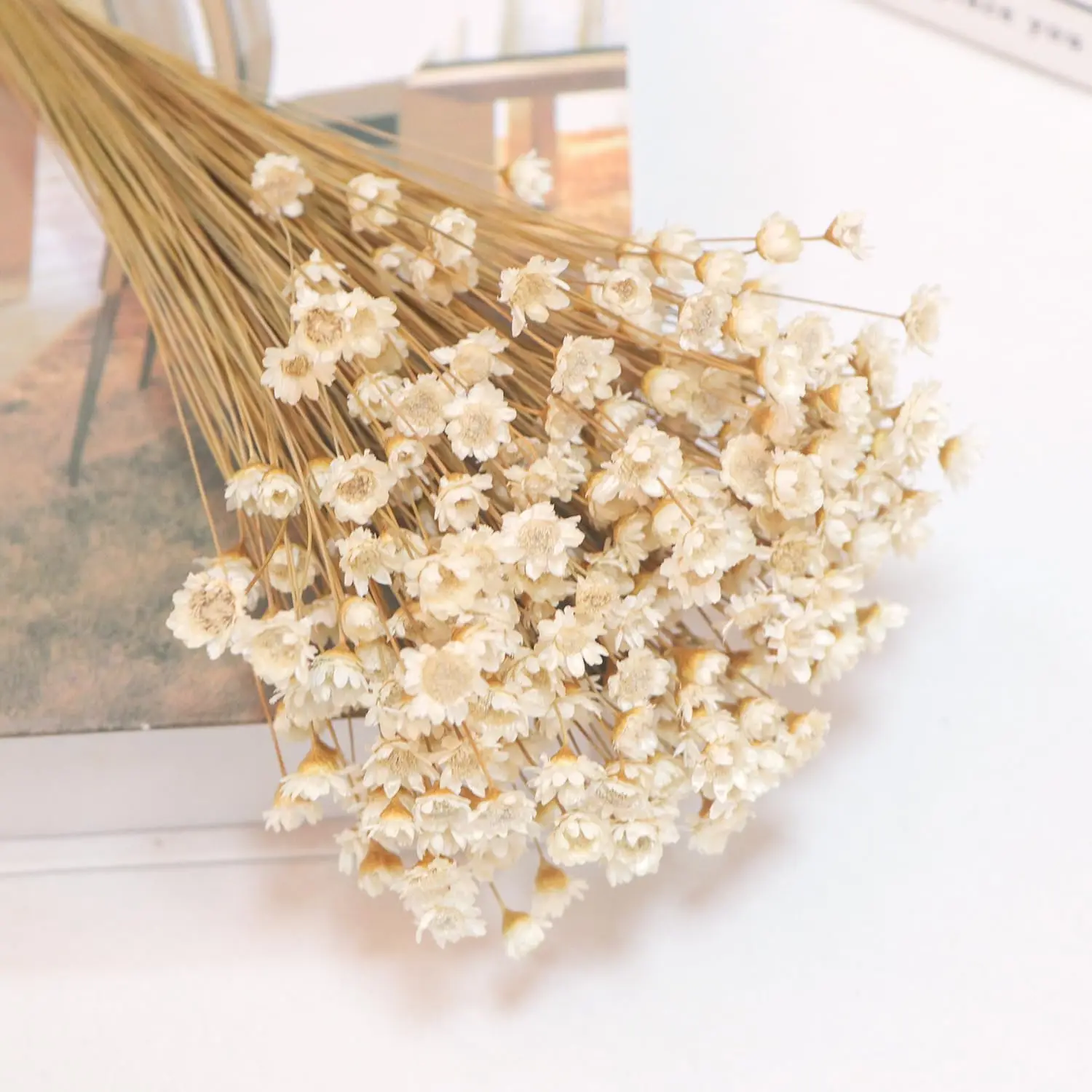 브라질리언 작은 별 데이지 장식 말린 꽃, 미니 데이지 카모마일 부케, DIY 홈 웨딩 장식 선물