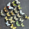 Real Butterfly, Big Silkworm Moth Specimen, Photography, Props, Home Decoration, DIY Handicraft Exhibition Collection Sculpture 2