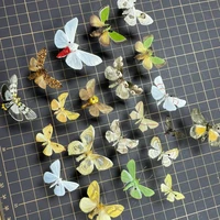 Real Butterfly, Big Silkworm Moth Specimen, Photography, Props, Home Decoration, DIY Handicraft Exhibition Collection Sculpture 2