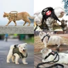 Tactical Cat Harness Leash Puppy Adjustable Kitten Vest For Military Small Dogs Harnesses Working Training Cat Accessories 5