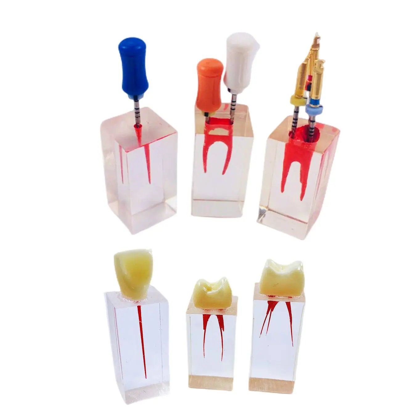 

3pcs Dental Endo Training Block Endodontics Student Teaching Model Dentistry 3 Styles Practice Model