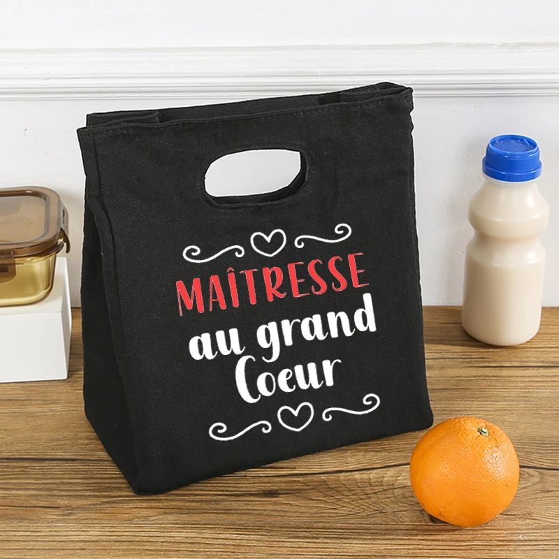 Women Lunch Bag Insulated Cooler Thermal Portable Ice Pack Picnic