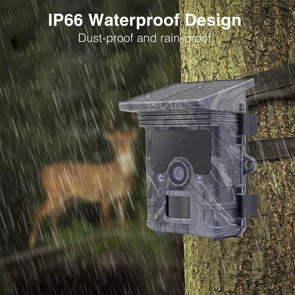 Outdoor Solar Panel Hunting Camera Infrared Automatic Monitoring Wildlife Trap Trail Cam 24MP 1296P Video Photo Recorder