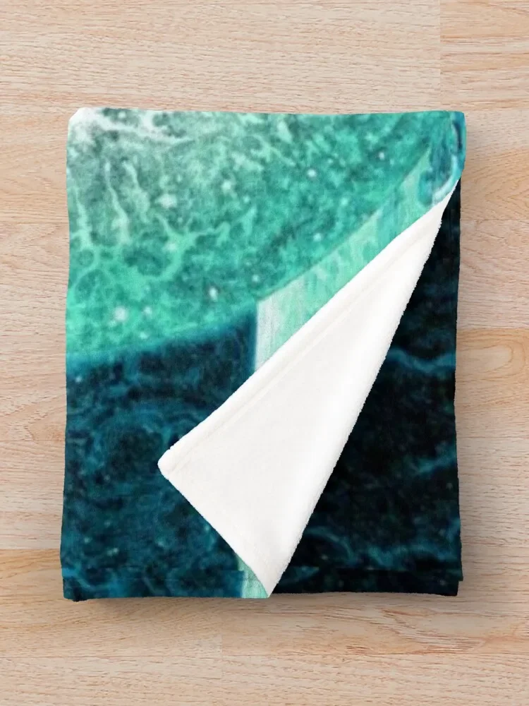 Jinjer ��ũ�� ������ ���, ��� ���� ���