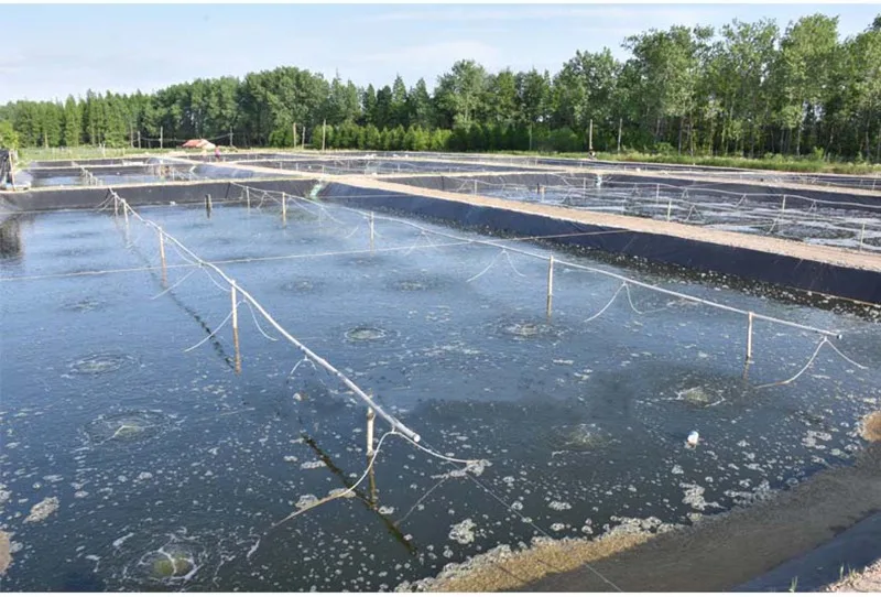 1/3/5m Belüftung gummis ch lauch Sauerstoff pumpens ch lauch Mikro poröses Nano-Belüftung srohr Fischteich Oxygen ierungs rohr Belüfter Diffusor rohr – Detail 17